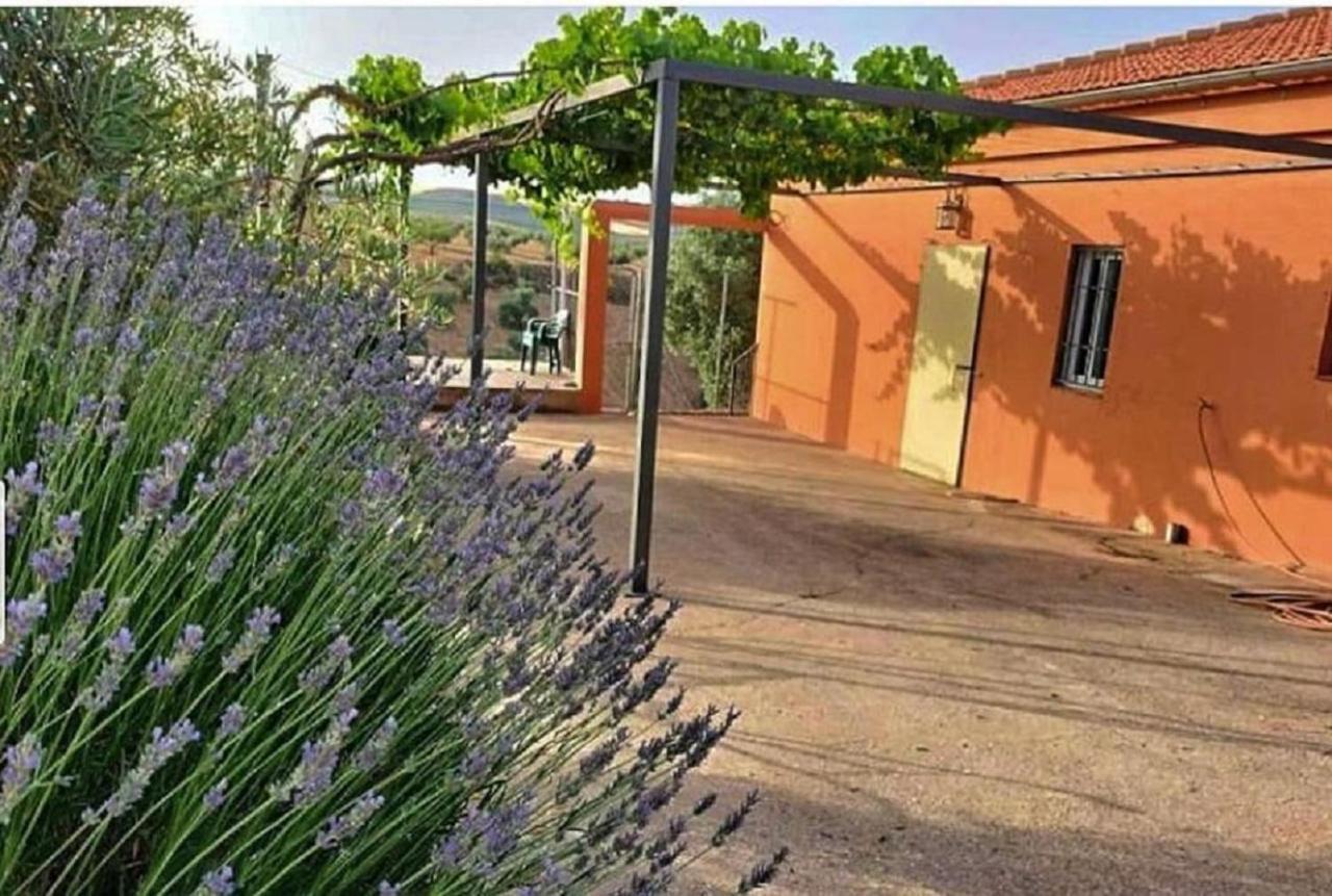 Vila Cortijo Puente Alhama Alhama de Granada Exteriér fotografie